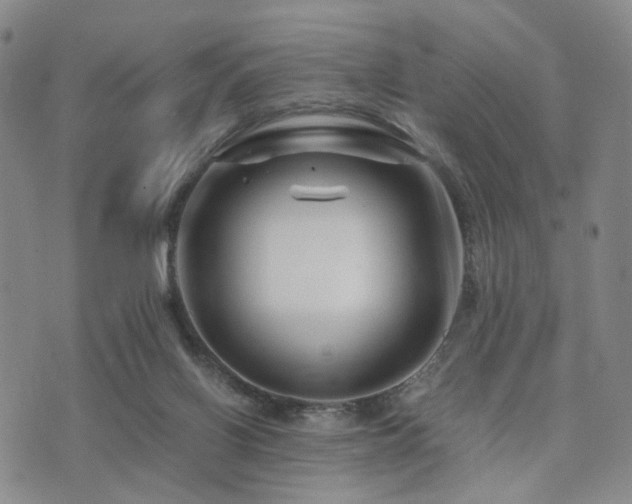 X0000073700070200608031225