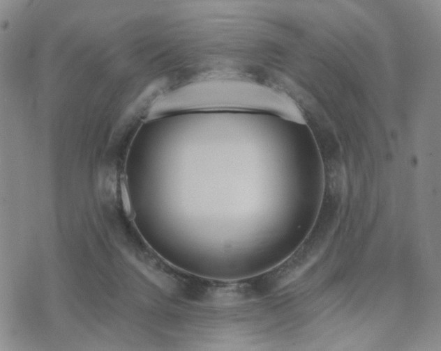 X0000073700072200608031225