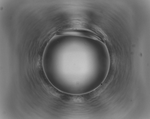 X0000073700073200608031225