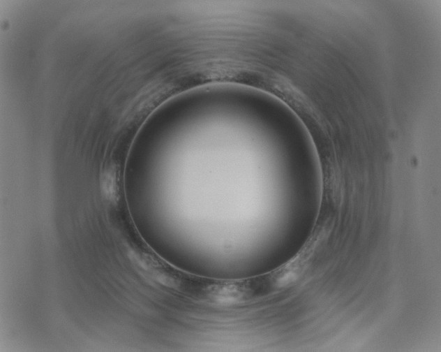 X0000073700074200608031225