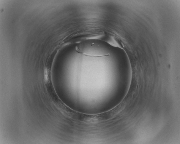 X0000073700075200608031225