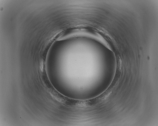 X0000073700076200608031225