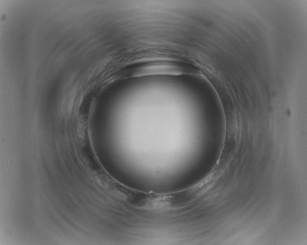 X0000073700078200608031225