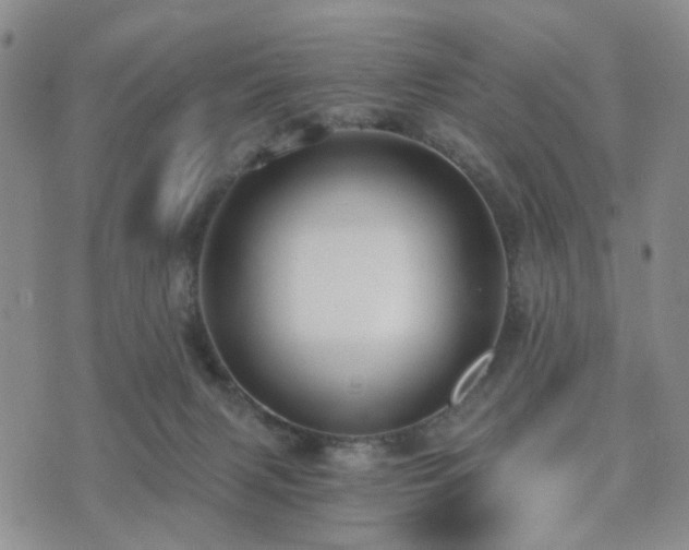 X0000073700079200608031225