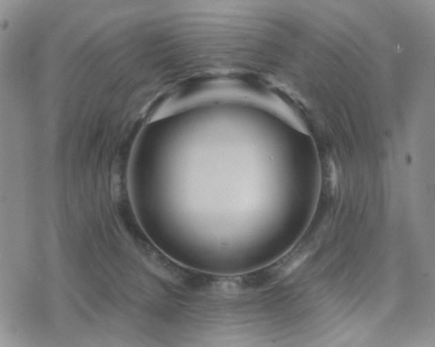 X0000073700080200608031225