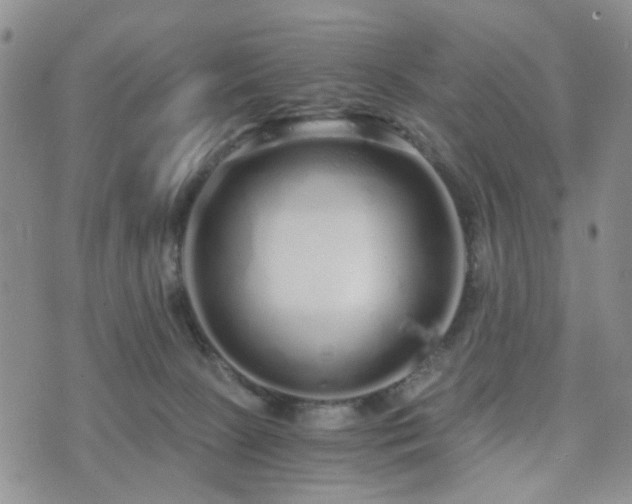 X0000073700081200608031225