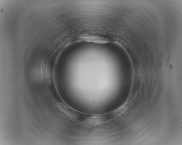 X0000073700082200608031225