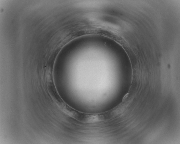 X0000073700083200608031225