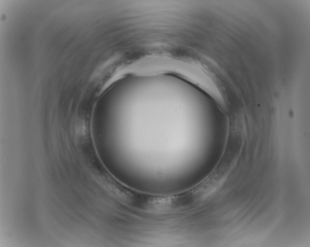 X0000073700084200608031225