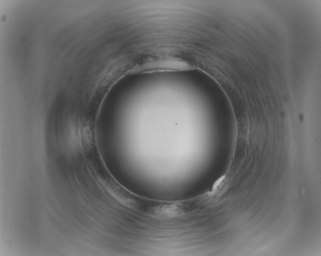 X0000073700086200608031225