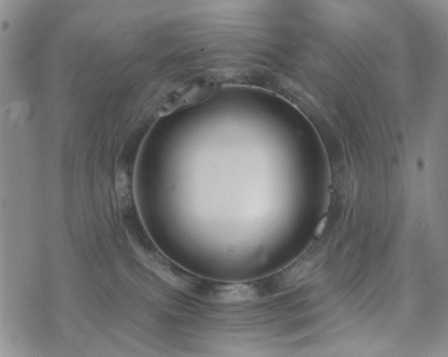 X0000073700087200608031225