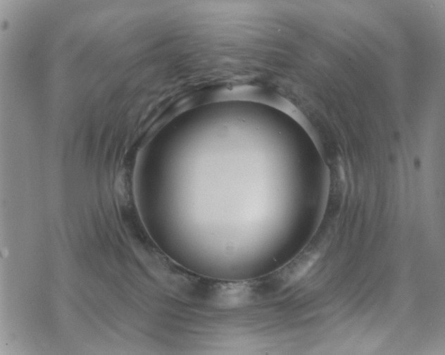 X0000073700088200608031225