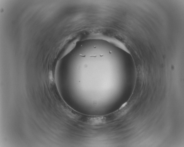 X0000073700089200608031225