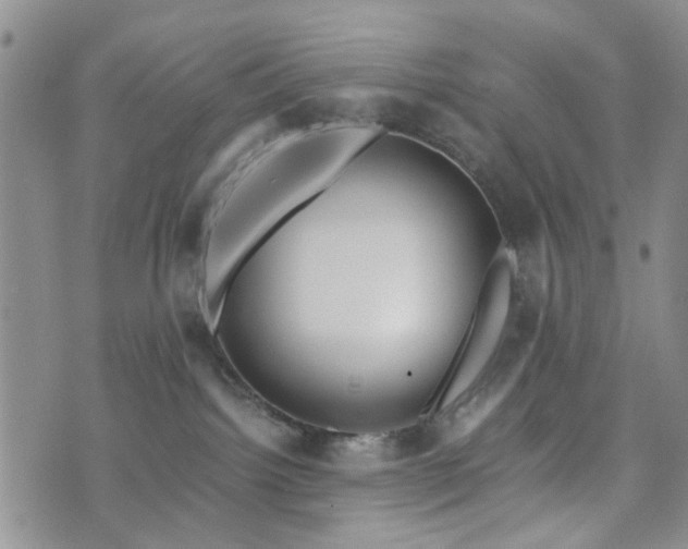 X0000073700092200608031225