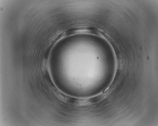 X0000073700093200608031225