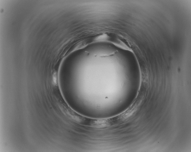 X0000073700095200608031225