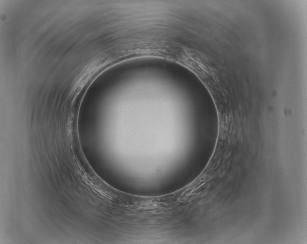 X0000073700098200608031224