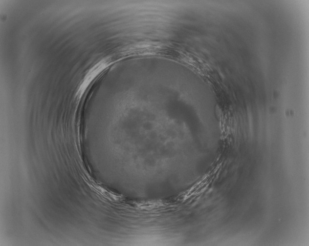 X0000073700099200608031224