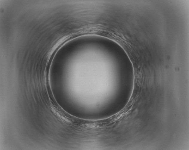 X0000073700100200608031224