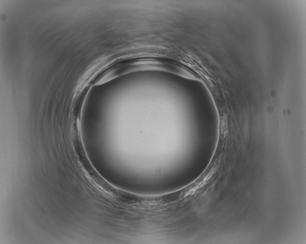 X0000073700101200608031224