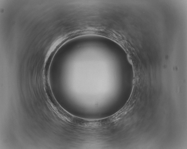 X0000073700102200608031224