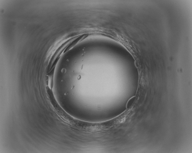 X0000073700103200608031224