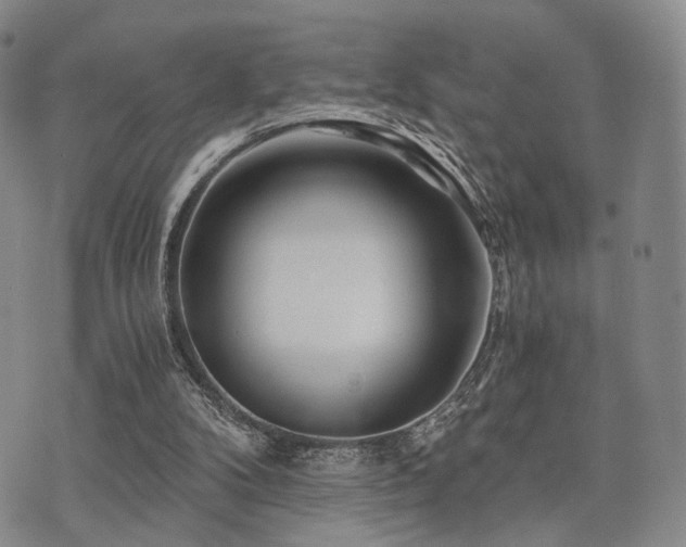 X0000073700104200608031224