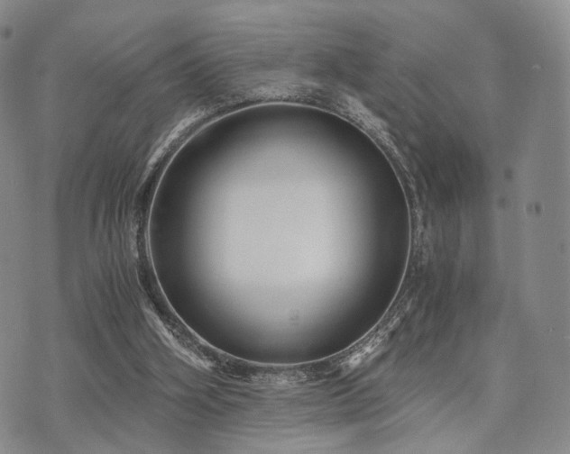 X0000073700106200608031224