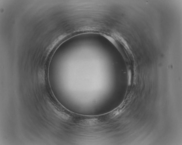 X0000073700108200608031224