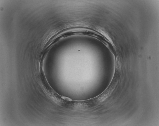 X0000073700109200608031224