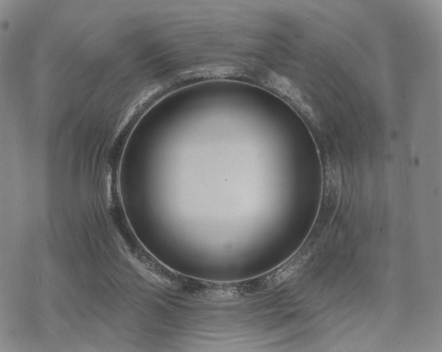 X0000073700110200608031224