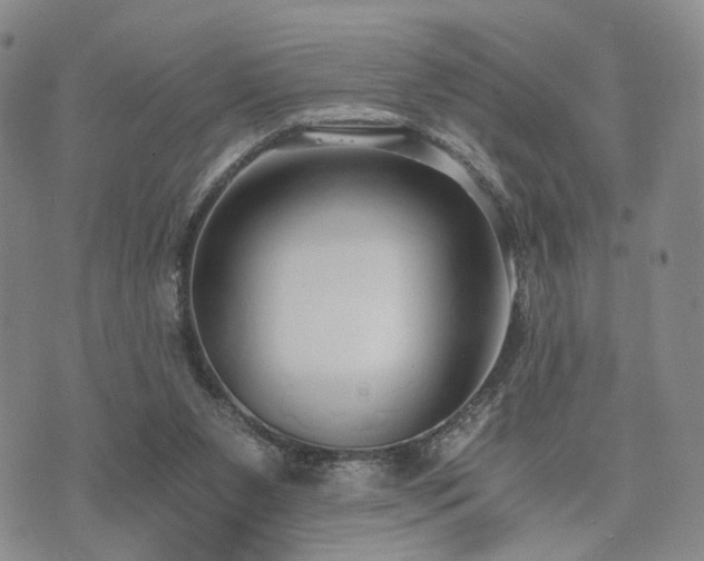 X0000073700111200608031224