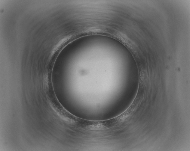 X0000073700112200608031224