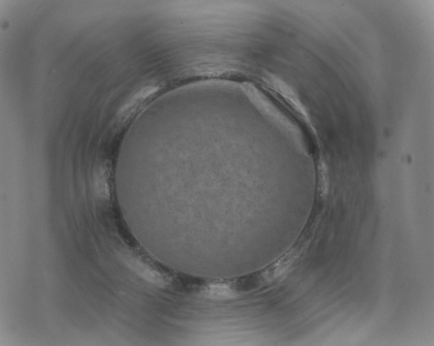 X0000073700114200608031224