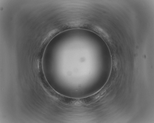 X0000073700115200608031224