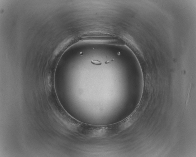 X0000073700116200608031224