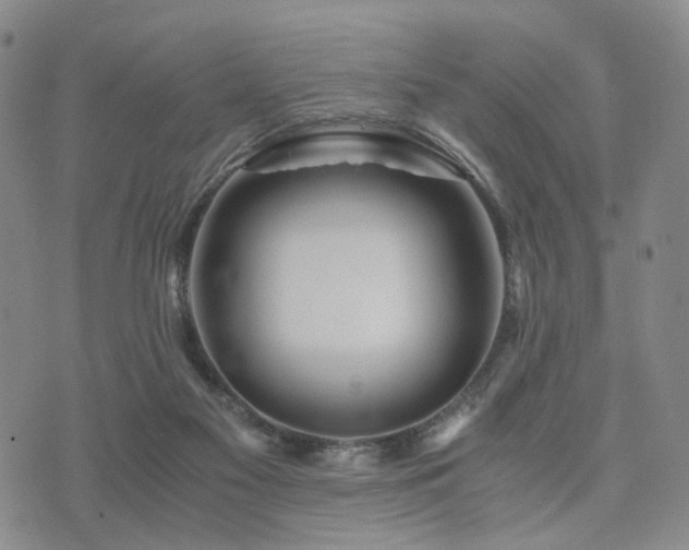 X0000073700117200608031224