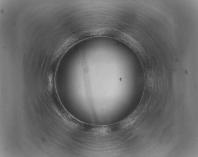 X0000073700118200608031224