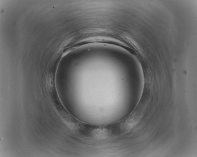 X0000073700119200608031224