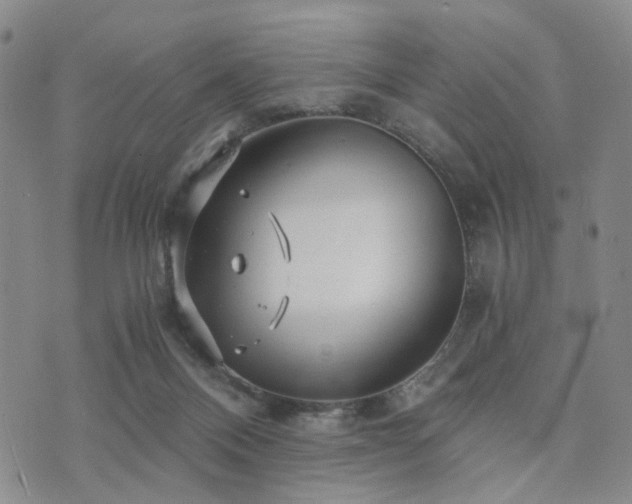 X0000073700120200608031224