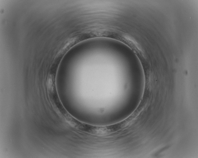 X0000073700121200608031224