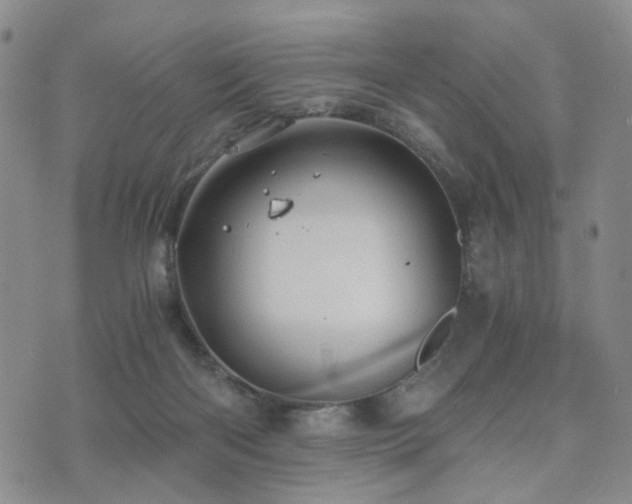 X0000073700122200608031224