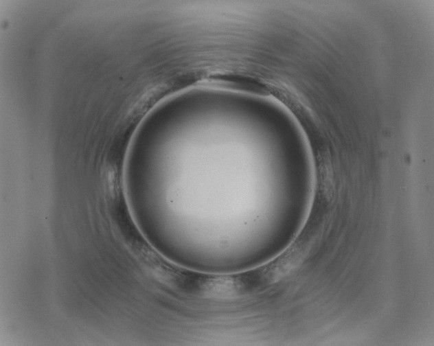 X0000073700123200608031224