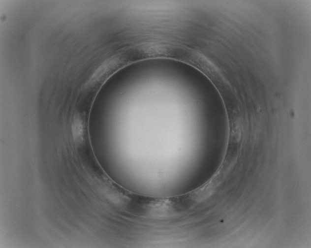 X0000073700124200608031224