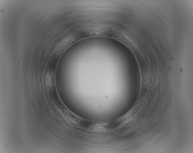 X0000073700126200608031224