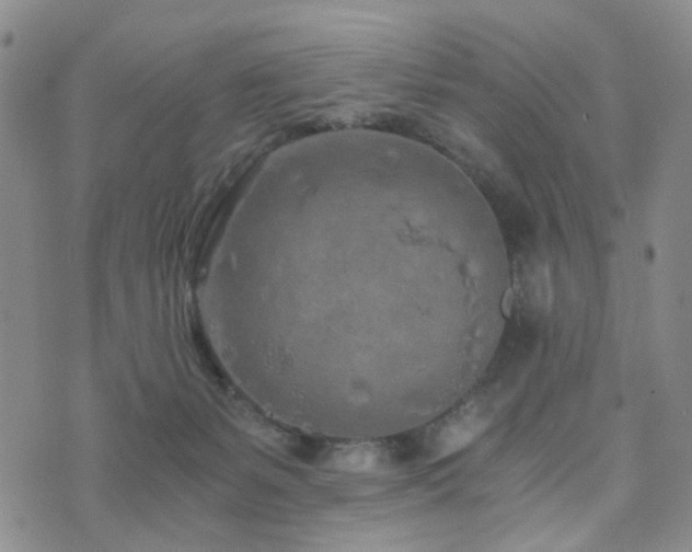 X0000073700127200608031224