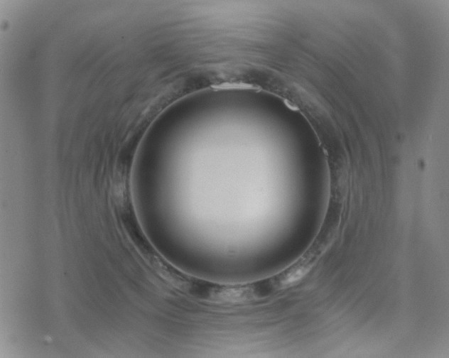 X0000073700129200608031224