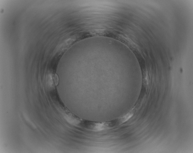 X0000073700130200608031224