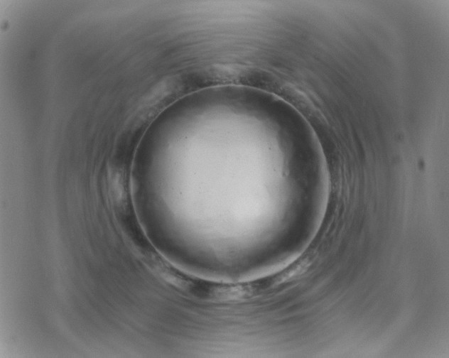 X0000073700131200608031224