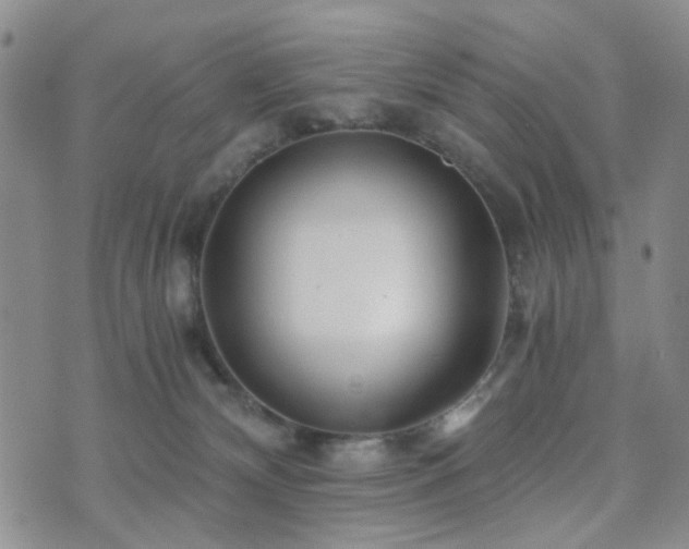 X0000073700132200608031224